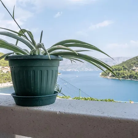 Darija - With Sea View St Apartman *